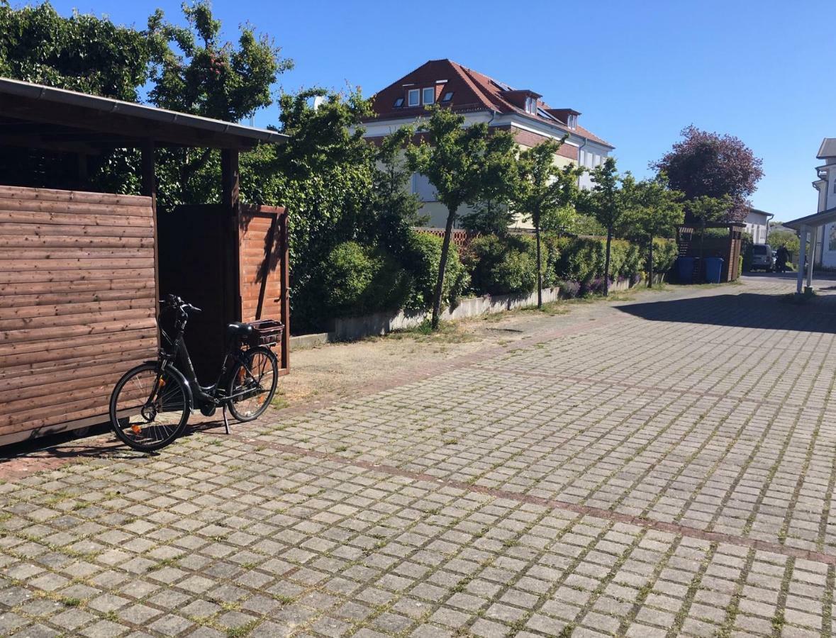Haus Bernstein Ferienwohnungen Гьорен Екстериор снимка